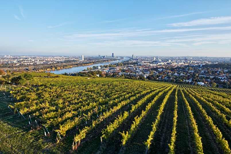 Ried Gollin, Nussdorf, Döbling, Wien